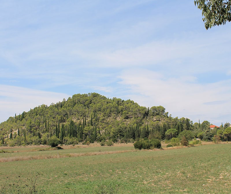 Organiser une fête dans un parc loin de tout