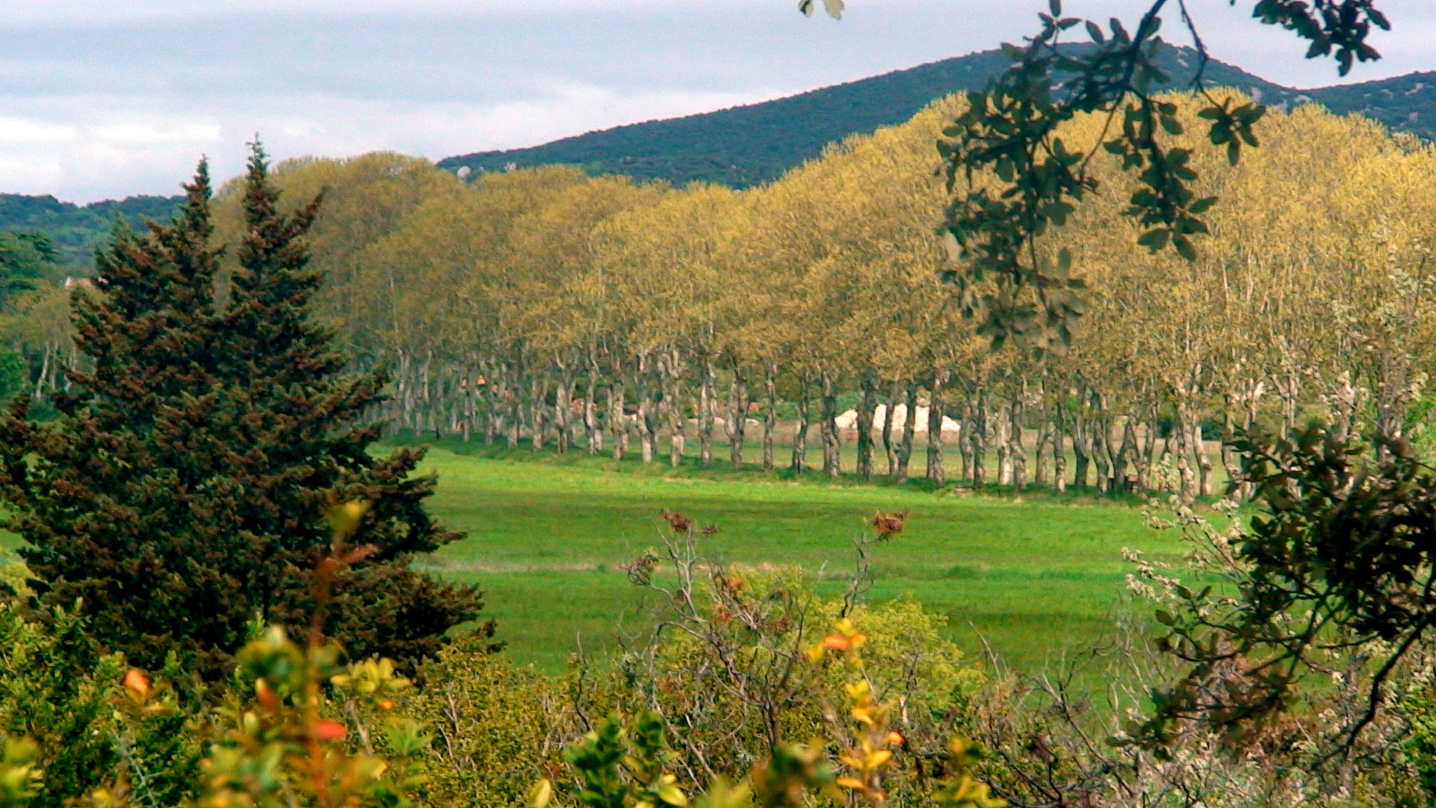 Laissez parler votre pleine nature